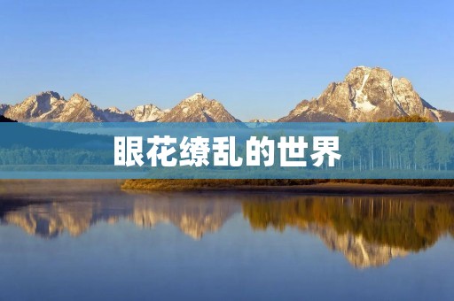 眼花缭乱的世界