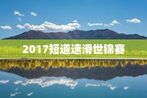 2017短道速滑世锦赛：中国队夺得8金5银5铜