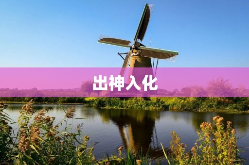 出神入化：探秘艺术与技巧的完美结合