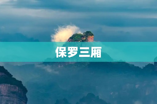 保罗三厢：家庭用车的不二选择