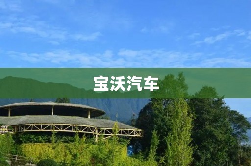 宝沃汽车：从德国品质到中国市场的新生代