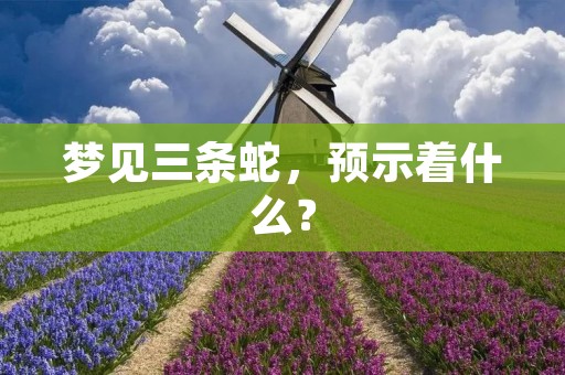 梦见三条蛇，预示着什么？
