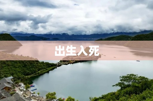 出生入死：探寻人类生死之谜