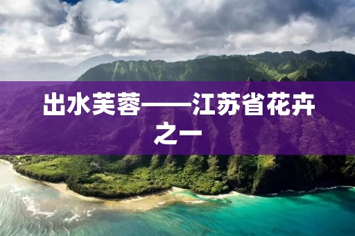 出水芙蓉——江苏省花卉之一 出水芙蓉——江苏省花卉之一