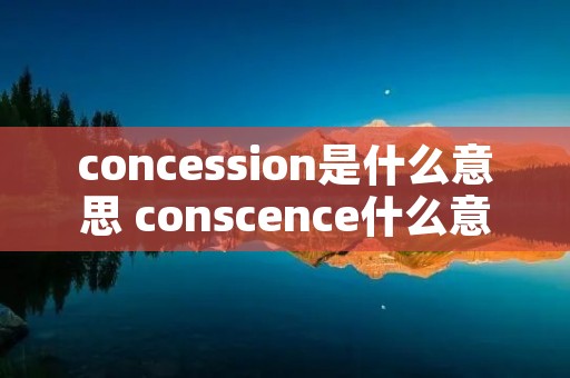 concession是什么意思 conscence什么意思