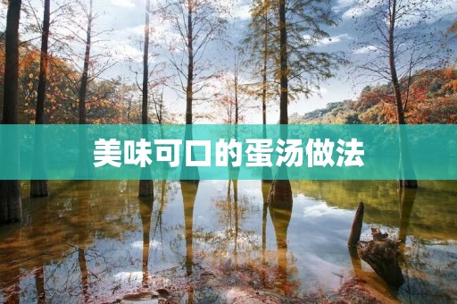 美味可口的蛋汤做法 美味可口的蛋汤做法