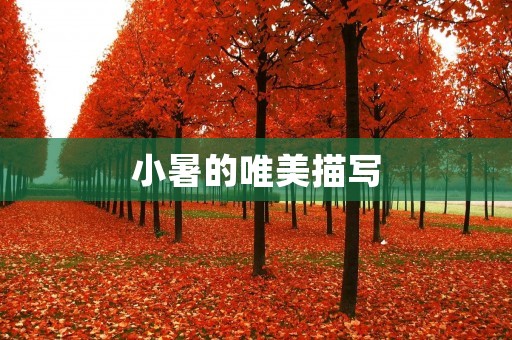 小暑的唯美描写