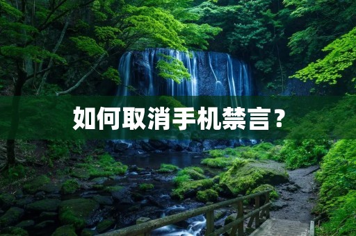 如何取消手机禁言? 如何取消手机禁言?