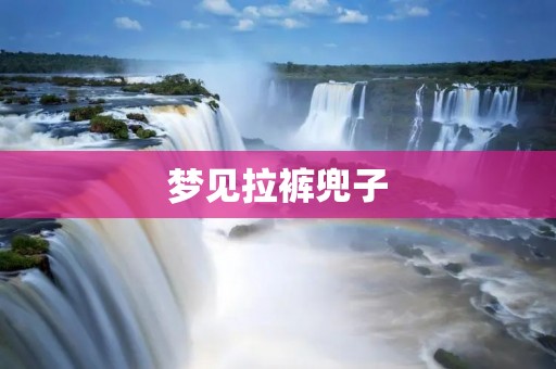 梦见拉裤兜子：解梦大全