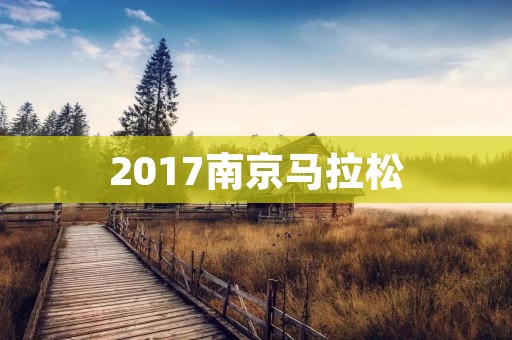 2017南京马拉松:打破记录的背后 2017南京马拉松:打破记录的背后
