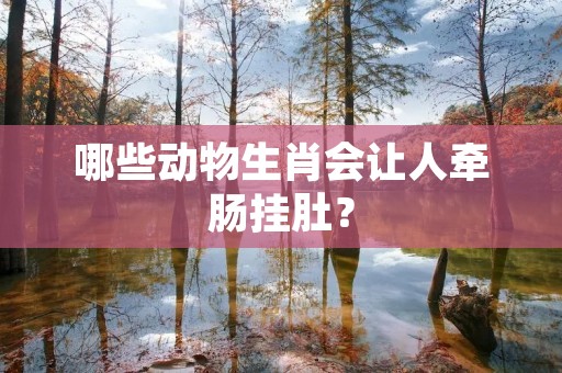 哪些动物生肖会让人牵肠挂肚？