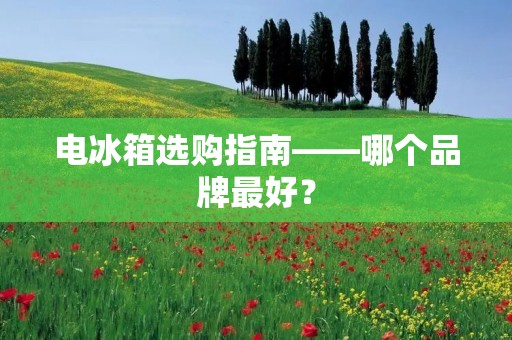 电冰箱选购指南——哪个品牌最好？