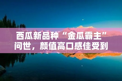 西瓜新品种“金瓜霸主”问世,颜值高口感佳受到市场热捧