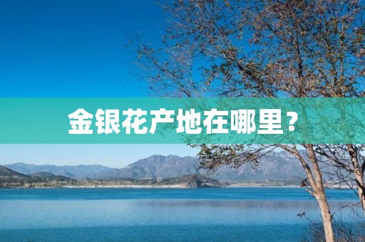 金银花产地在哪里?