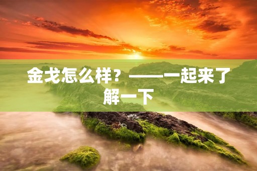 金戈怎么样?——一起来了解一下 金戈怎么样?——一起来了解一下