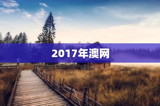 2017年澳网:费德勒夺冠,小德退赛 2017年澳网:费德勒夺冠,小德退赛