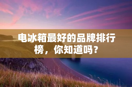 电冰箱最好的品牌排行榜，你知道吗？