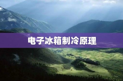电子冰箱制冷原理