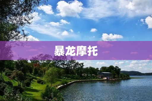 暴龙摩托:跨越时空的速度之王 暴龙摩托:跨越时空的速度之王