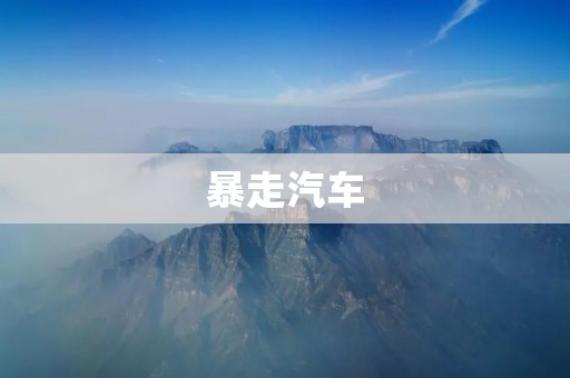 暴走汽车:探究其危害与防范 暴走汽车:探究其危害与防范
