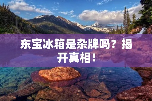 东宝冰箱是杂牌吗？揭开真相！