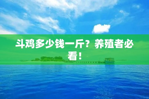 斗鸡多少钱一斤?养殖者必看!
