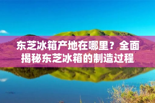 东芝冰箱产地在哪里？全面揭秘东芝冰箱的制造过程
