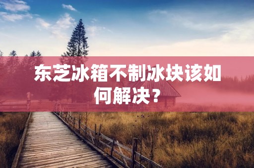 东芝冰箱不制冰块该如何解决？