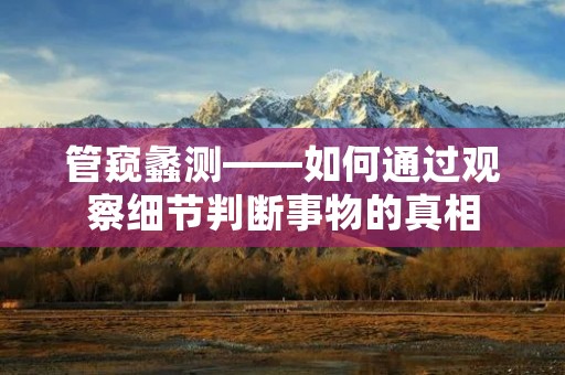 管窥蠡测——如何通过观察细节判断事物的真相