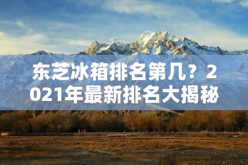东芝冰箱排名第几？2021年最新排名大揭秘！