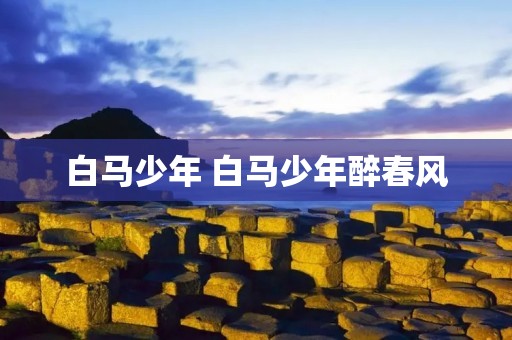 白马少年 白马少年醉春风 白马少年 白马少年醉春风