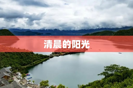 清晨的阳光:唤醒心灵的温暖