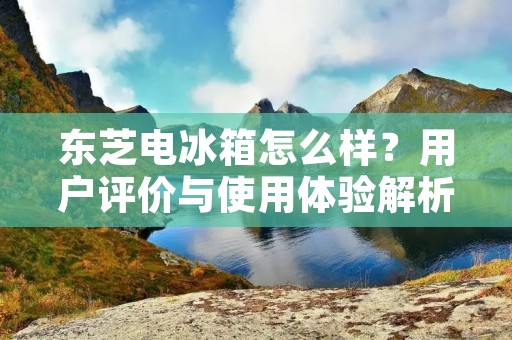 东芝电冰箱怎么样?用户评价与使用体验解析 东芝电冰箱怎么样?用户评价与使用体验解析