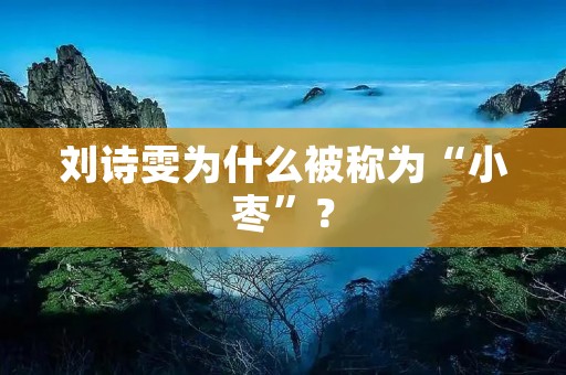 刘诗雯为什么被称为“小枣”?