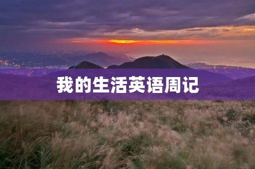 我的生活英语周记
