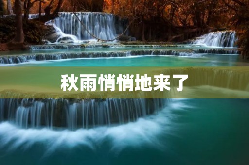 秋雨悄悄地来了