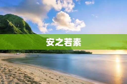 安之若素:让你的生活更加美好 安之若素:让你的生活更加美好