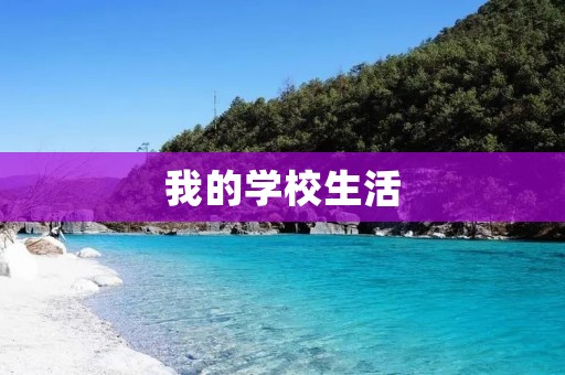 我的学校生活