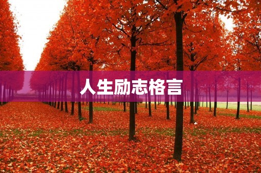 人生励志格言:梦想是通往成功的桥梁 人生励志格言:梦想是通往成功的桥梁