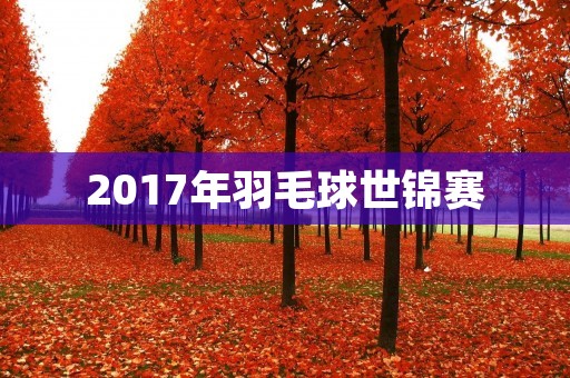 2017年羽毛球世锦赛:中国队夺得历史最佳成绩 2017年羽毛球世锦赛:中国队夺得历史最佳成绩