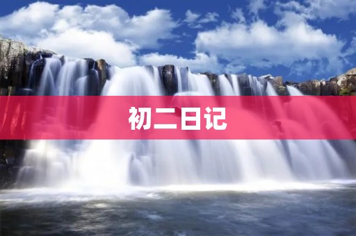 初二日记:我的一天 初二日记:我的一天