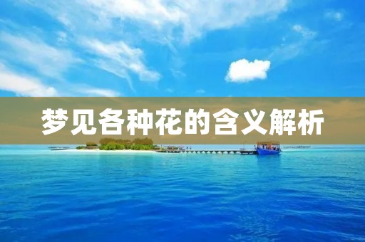 梦见各种花的含义解析