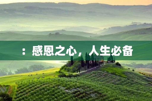 :感恩之心,人生必备