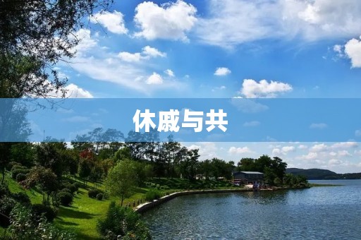 休戚与共：团结合作的重要性