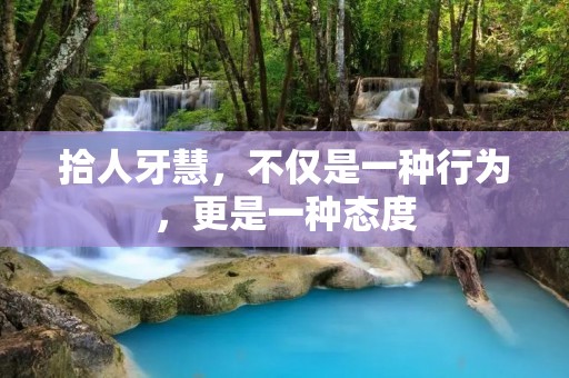 拾人牙慧，不仅是一种行为，更是一种态度