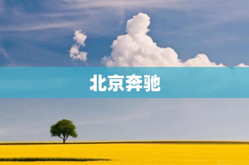 北京奔驰:中国市场的领导者 北京奔驰:中国市场的领导者