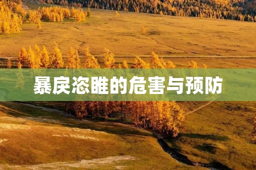 暴戾恣睢的危害与预防