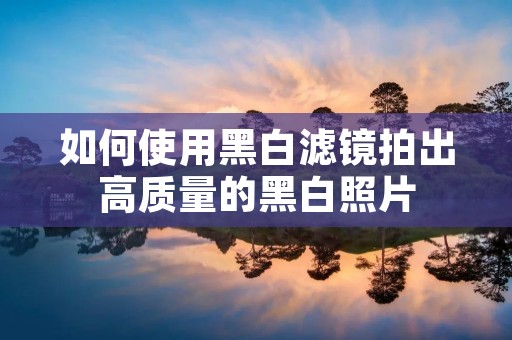 如何使用黑白滤镜拍出高质量的黑白照片