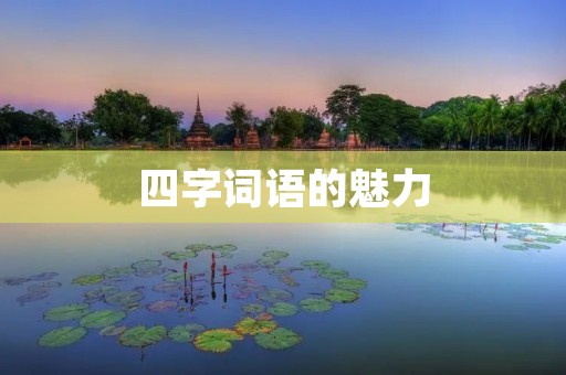 四字词语的魅力