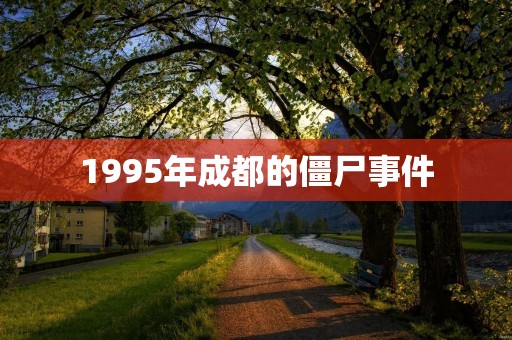 1995年成都的僵尸事件